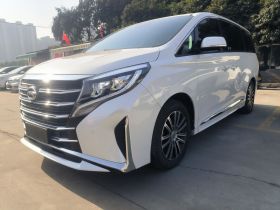 广汽传祺 传祺M8 2023款 领秀系列 390T 尊贵版