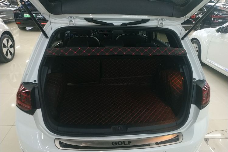 大众 高尔夫 2019款 280TSI DSG R-Line型 国VI机舱底盘23