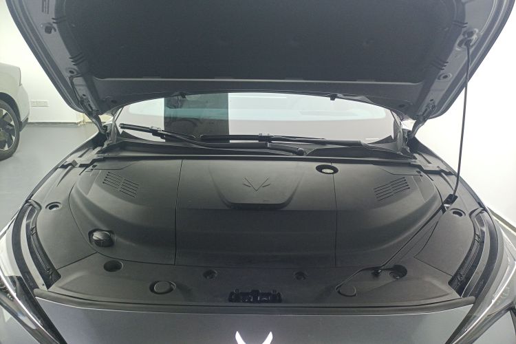 ARCFOX极狐 极狐 阿尔法S5 2024款 560MAX 185kW局部细节24