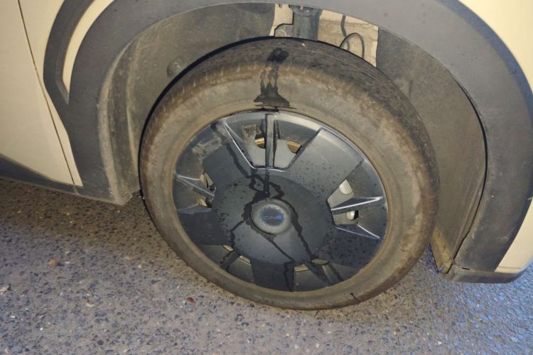 比亚迪 海鸥 2025款 305km 活力版车身外观6007