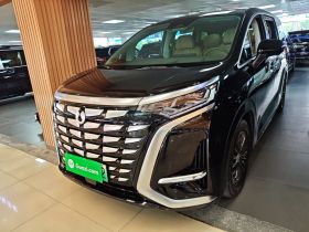 腾势D9 2024款 DM-i 980 四驱尊荣型