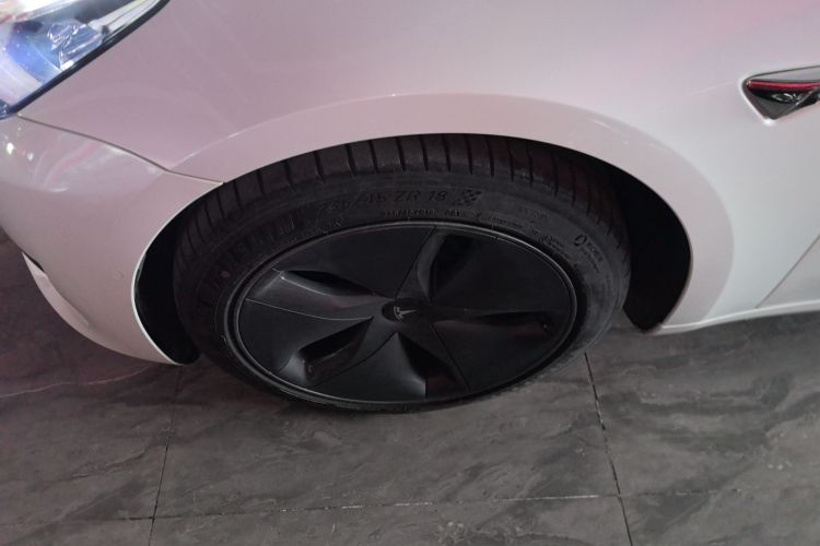 特斯拉 Model 3 2021款 标准续航后驱升级版车身外观6007