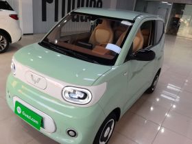 五菱汽车 宏光MINIEV 2024款 第三代 215km 青春版