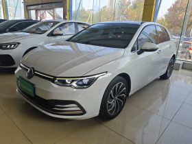 大众 高尔夫 2021款 280TSI DSG Pro