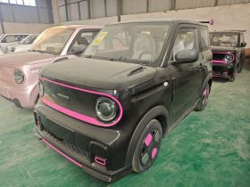 吉利银河 2025款 210km 熊猫卡丁