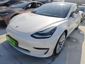 特斯拉 Model 3(进口) 2019款 长续航全轮驱动版