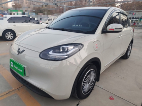 五菱汽车 五菱缤果 2023款 333km 快享款