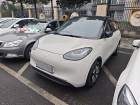 五菱汽车 五菱缤果 2023款 410km 灵犀尊享款