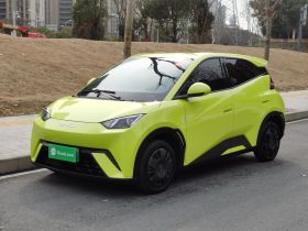 比亚迪 海鸥 2023款 活力版