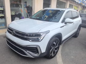 大众 途岳 2024款 300TSI 两驱满月版