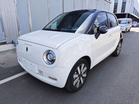 欧拉黑猫 2021款 351km 豪华型