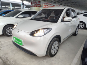 五菱汽车 五菱缤果 2023款 203km 轻享款