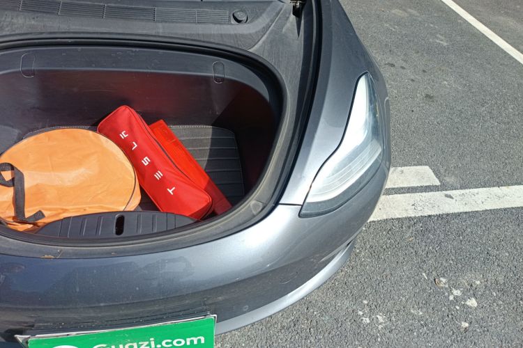 特斯拉 Model 3(进口) 2019款 长续航后驱版局部细节9007