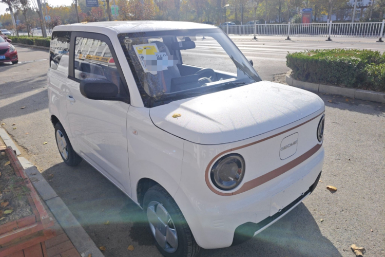 吉利银河 2024款 熊猫mini 200km 耐力熊车身外观3