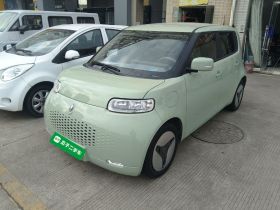 欧拉白猫 2022款 升级版 305km 舒享型 三元锂