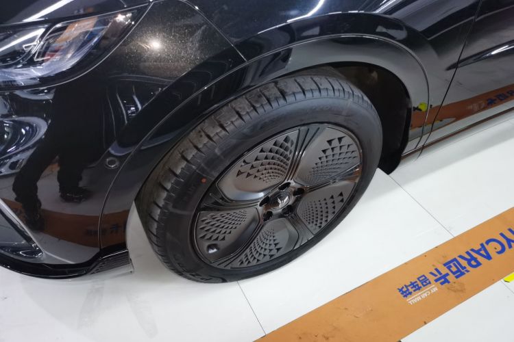 岚图汽车 岚图知音 2024款 四驱全球版车身外观6007