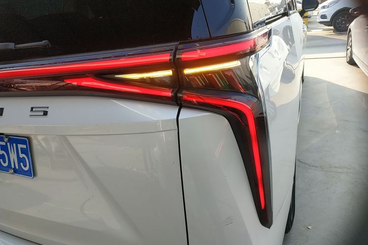 上汽大通MAXUS 大通G90 2022款 2.0T 星辰七座版车身外观9