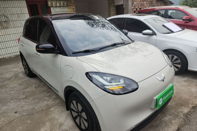 五菱汽车 五菱缤果 2024款 333km 悦享款车身外观6002