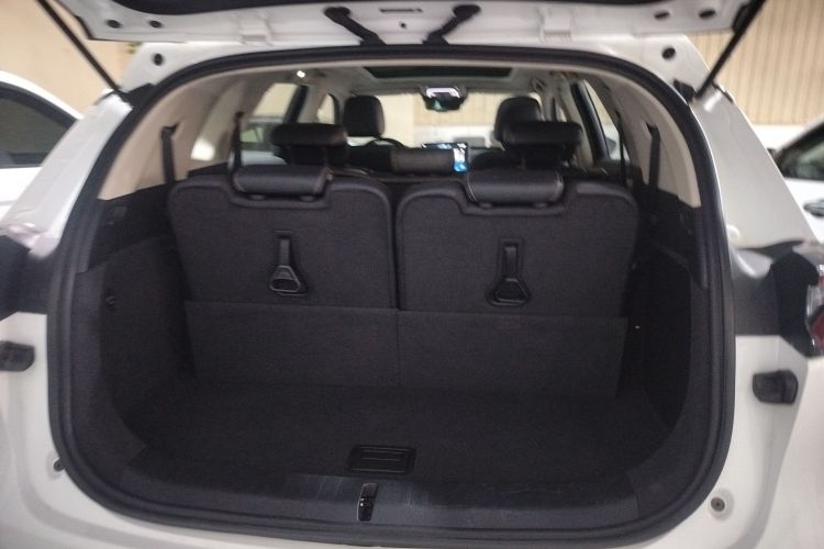 比亚迪 唐 2018款 2.0T 自动智联尊贵型 7座 国V机舱底盘23