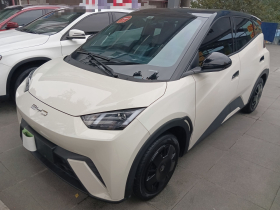 比亚迪 海鸥 2023款 活力版