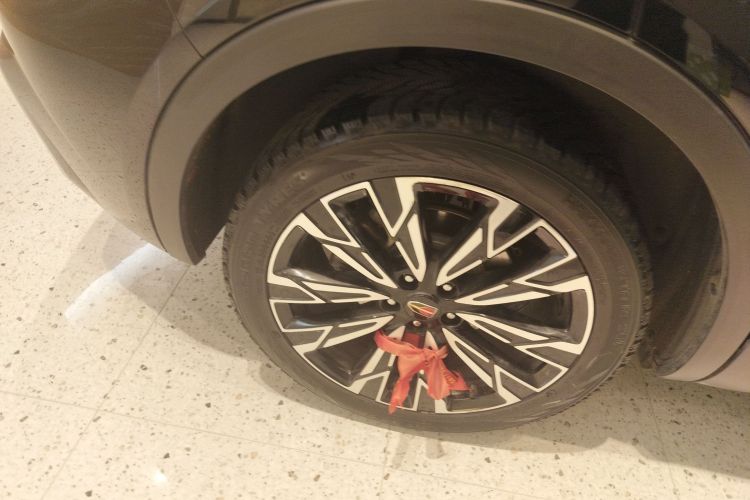 红旗HS5 2025款 2.0T 四驱旗享Pro版车身外观6008