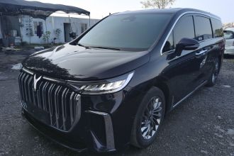 岚图汽车 岚图梦想家 2022款 低碳版 梦+智享包