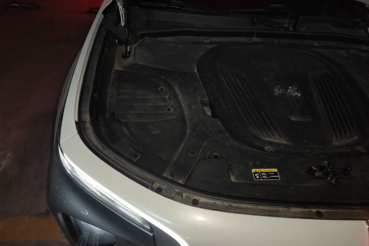 红旗E-HS9 2021款 510km 旗领版 四座局部细节9006