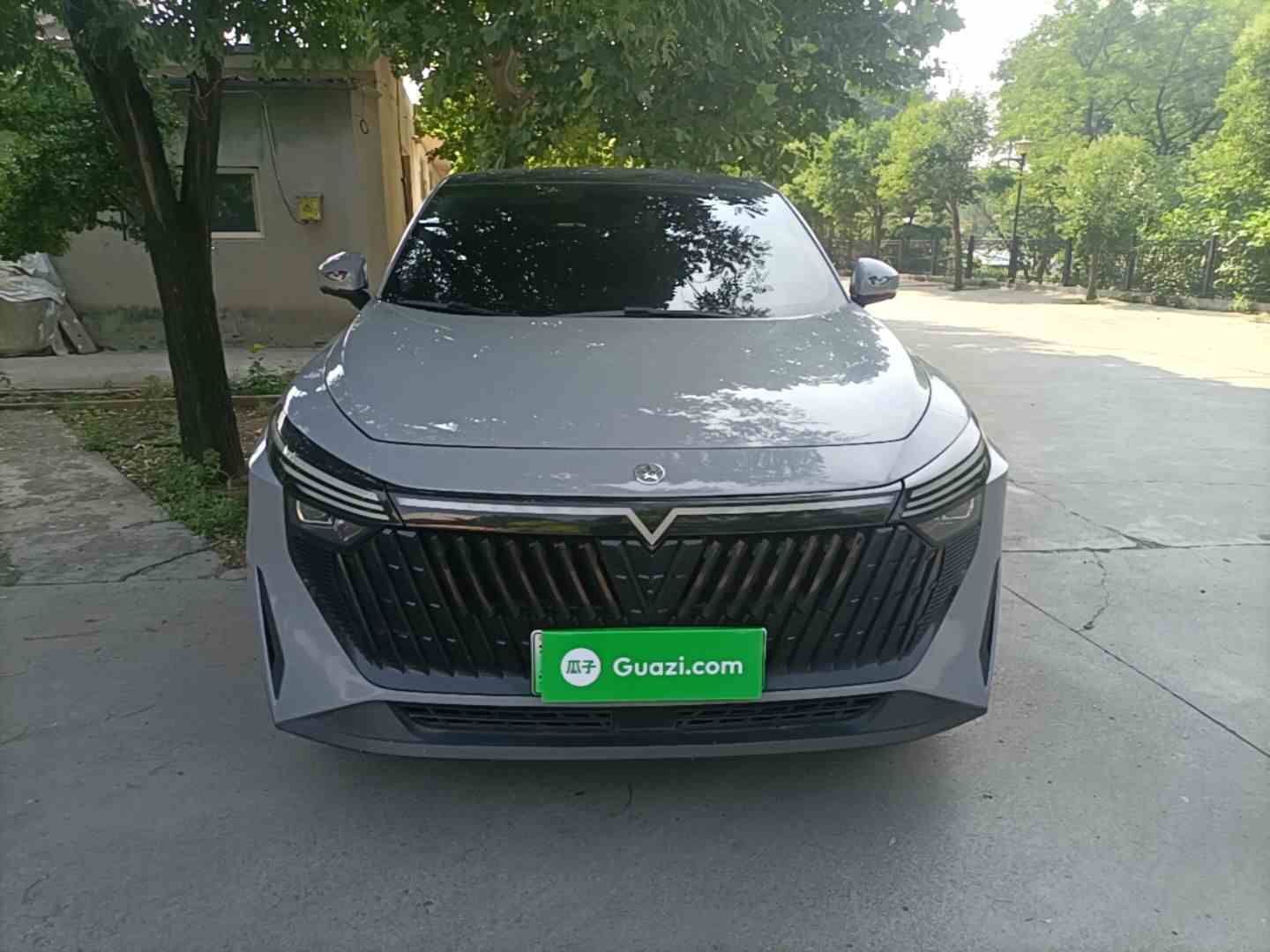 启辰大V DD-i 2023款 110km iE版(1)