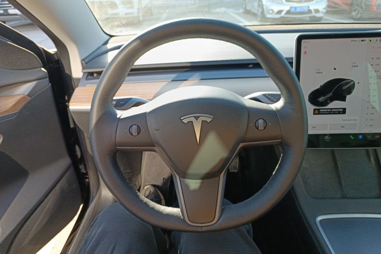特斯拉 Model 3 2021款 标准续航后驱升级版 3D6局部细节13