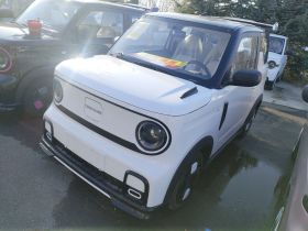 吉利银河 2025款 210km 熊猫卡丁