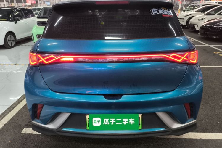 比亚迪 海豚 2021款 401km 骑士版车身外观6