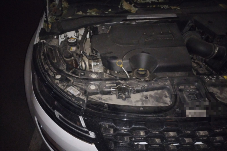 路虎 揽胜极光 2020款 249PS R-DYNAMIC SE 运动科技版局部细节9006