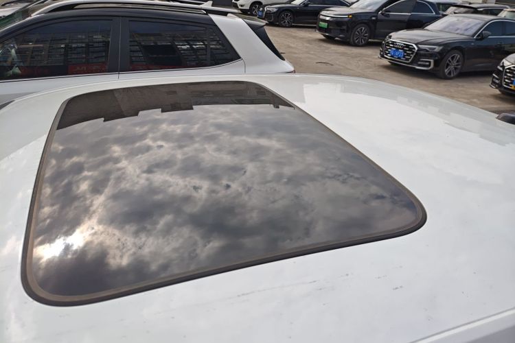 大众 朗逸 2024款 1.5L 自动星空五百万版局部细节57