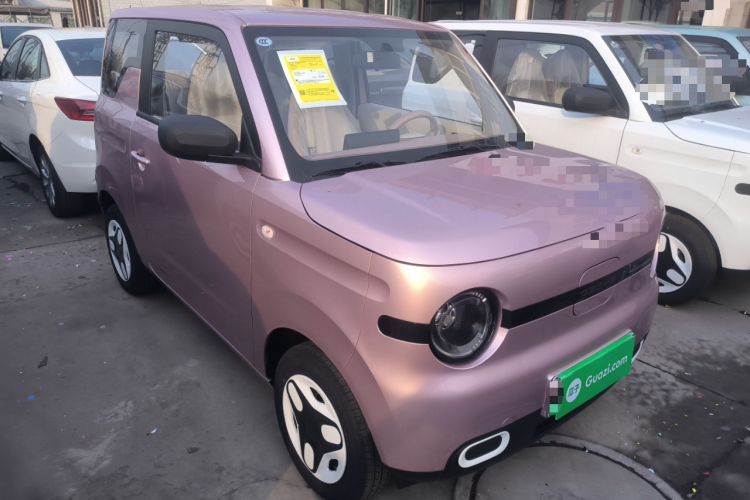 吉利银河 熊猫 2025款 210km 元气熊车身外观6002