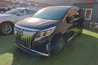 广汽传祺 传祺M8 2023款 领秀系列 390T 尊贵版