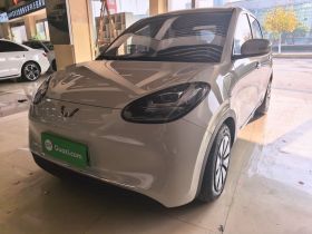 五菱汽车 五菱缤果 2025款 333km 悦享款