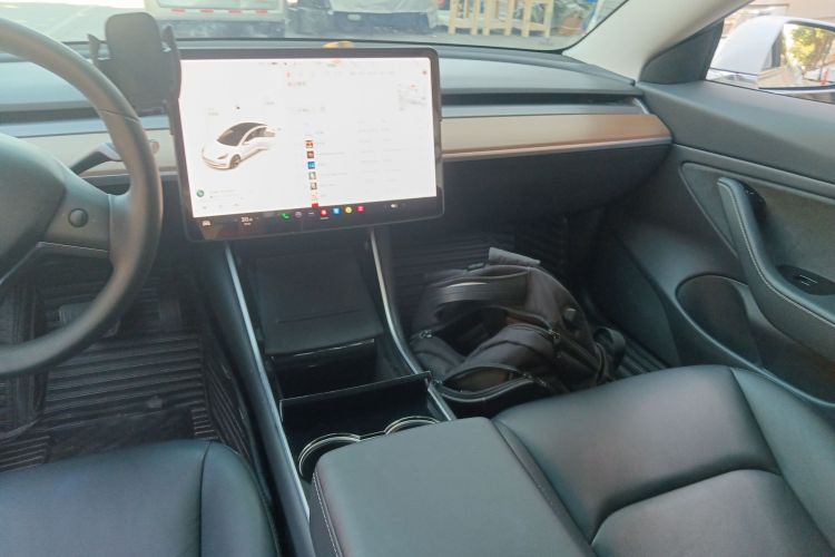 特斯拉 Model 3(进口) 2019款 标准续航后驱升级版(60度)局部细节16