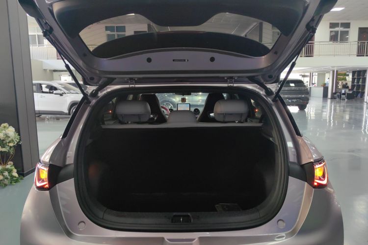 比亚迪 海豚 2023款 420km 自由版机舱底盘23