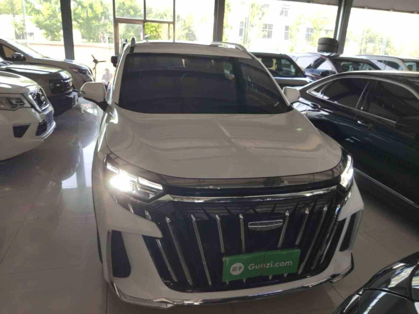 吉利汽车 豪越L 2025款 2.0T DCT尊享款(1)