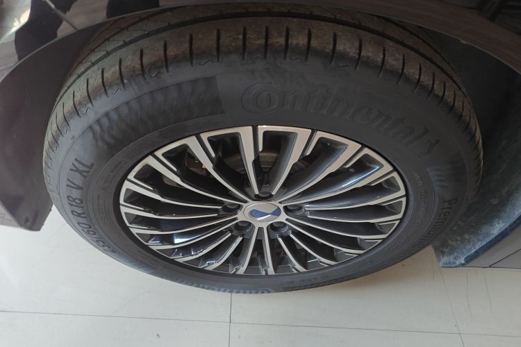 腾势D9 2022款 DM-i 970 四驱旗舰型车身外观6007