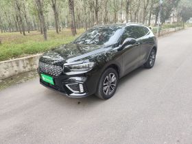 魏牌 VV5 2021款 1.5T 两驱颜先锋