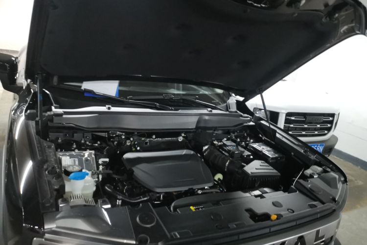 哈弗大狗 2024款 1.5T DCT边牧版机舱底盘24