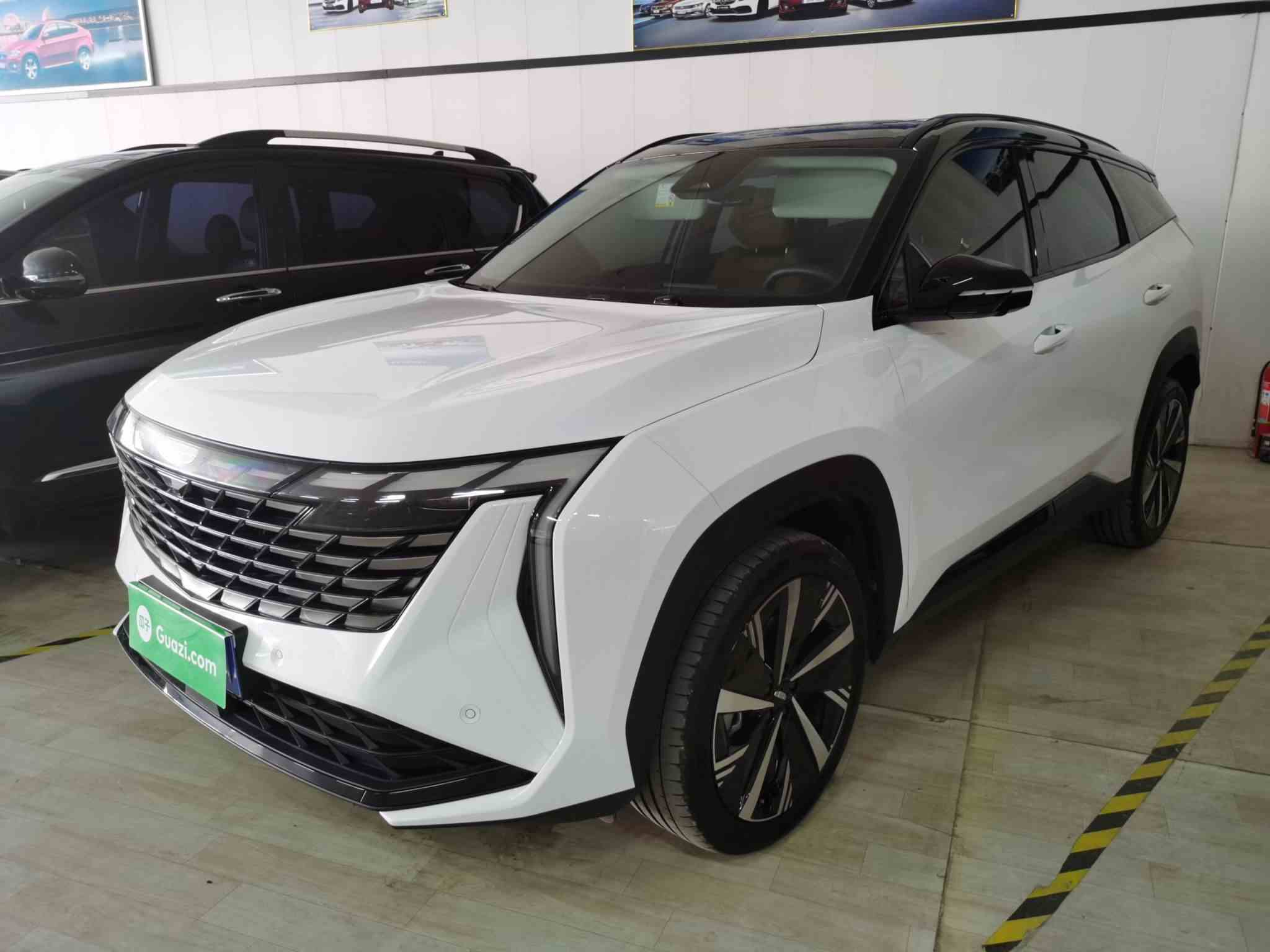 吉利汽车 博越L 2023款 2.0TD DCT尊贵型(2)