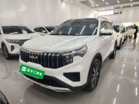 起亚 智跑 2021款 Ace 2.0L 精彩版