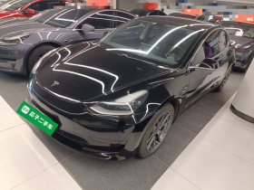特斯拉 Model 3 2020款 标准续航后驱升级版