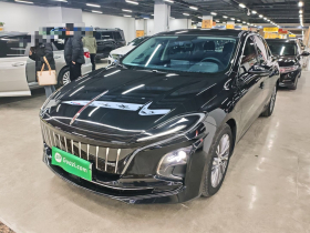 红旗E-QM5 2023款 620km PLUS