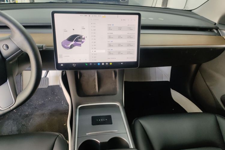特斯拉 Model 3 2021款 标准续航后驱升级版 3D6局部细节16