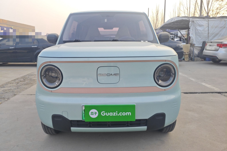 吉利银河 2024款 改款 熊猫mini 200km 龙腾版车身外观2