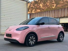 五菱汽车 五菱缤果 2023款 410km 灵犀尊享款