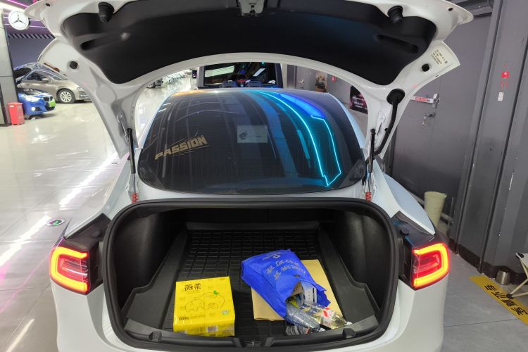 特斯拉 Model 3(进口) 2019款 长续航全轮驱动版机舱底盘23